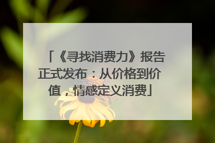 《寻找消费力》报告正式发布：从价格到价值，情感定义消费