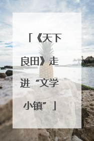 《天下良田》走进“文学小镇”