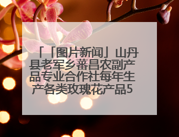 「图片新闻」山丹县老军乡蕃昌农副产品专业合作社每年生产各类玫瑰花产品500多吨