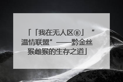 「我在无人区⑧」“温情联盟”——黔金丝猴雌猴的生存之道