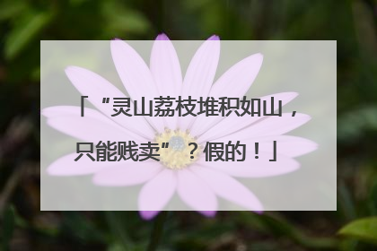 “灵山荔枝堆积如山，只能贱卖”？假的！