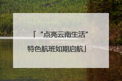 “点亮云南生活”特色航班如期启航