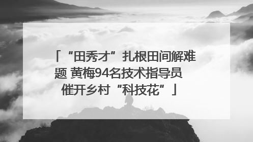“田秀才”扎根田间解难题 黄梅94名技术指导员催开乡村“科技花”