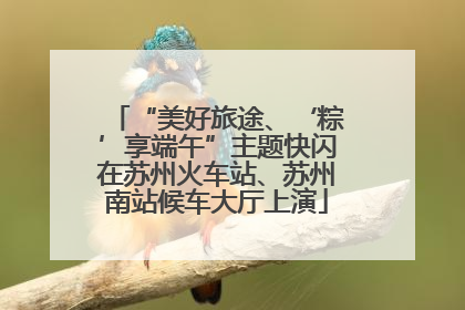 “美好旅途、‘粽’享端午”主题快闪在苏州火车站、苏州南站候车大厅上演