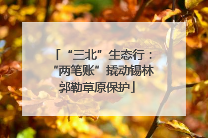 “三北”生态行：“两笔账”撬动锡林郭勒草原保护