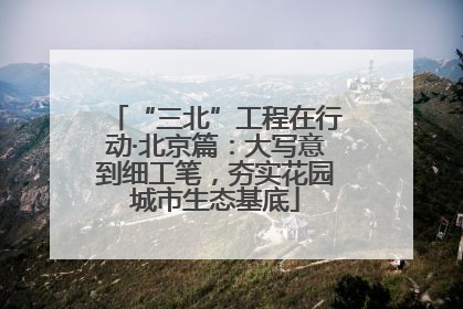 “三北”工程在行动·北京篇：大写意到细工笔，夯实花园城市生态基底