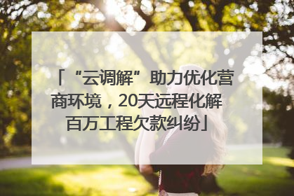 “云调解”助力优化营商环境，20天远程化解百万工程欠款纠纷