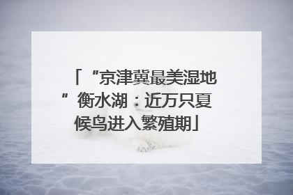 “京津冀最美湿地”衡水湖：近万只夏候鸟进入繁殖期