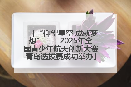 “仰望星空 成就梦想”——2025年全国青少年航天创新大赛青岛选拔赛成功举办