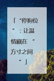 “停狗位 ”：让温情藏在 “方寸之间 ”