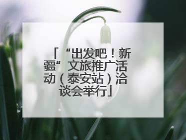 “出发吧！新疆”文旅推广活动（泰安站）洽谈会举行