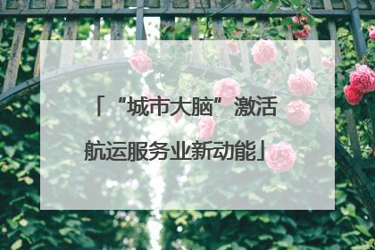 “城市大脑”激活航运服务业新动能