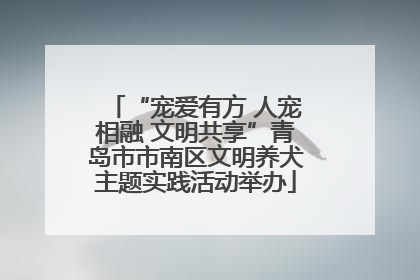“宠爱有方 人宠相融 文明共享”青岛市市南区文明养犬主题实践活动举办