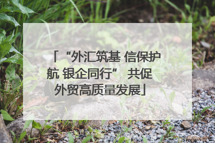 “外汇筑基 信保护航 银企同行” 共促外贸高质量发展