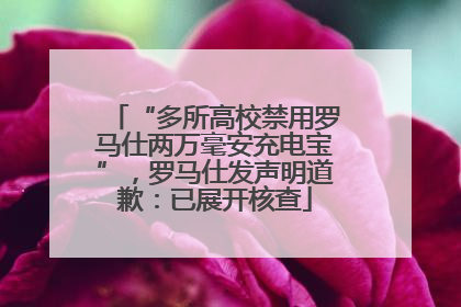 “多所高校禁用罗马仕两万毫安充电宝”，罗马仕发声明道歉：已展开核查