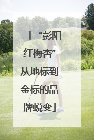 “彭阳红梅杏”从地标到金标的品牌蜕变