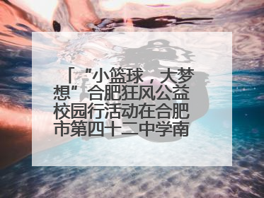 “小篮球，大梦想”合肥狂风公益校园行活动在合肥市第四十二中学南城分校圆满落幕