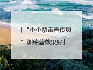 “小小禁毒宣传员”训练营效果好
