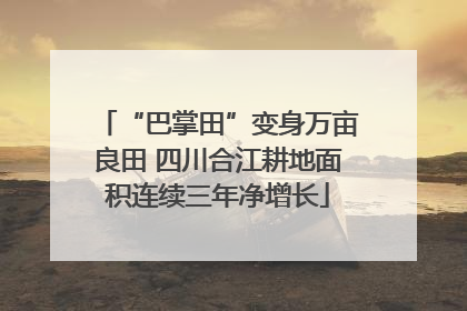 “巴掌田”变身万亩良田 四川合江耕地面积连续三年净增长