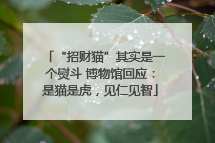 “招财猫”其实是一个熨斗 博物馆回应：是猫是虎，见仁见智