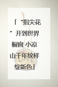 “指尖花”开到世界橱窗 小凉山千年纹样绽新色