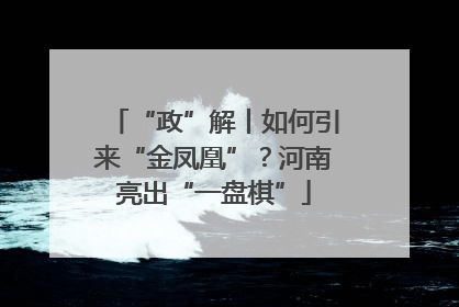 “政”解丨如何引来“金凤凰”？河南亮出“一盘棋”