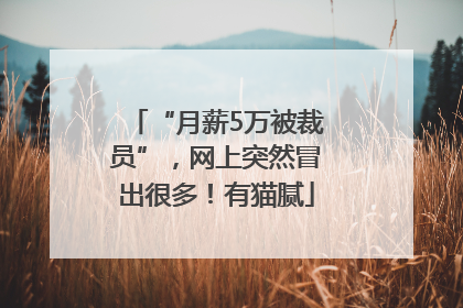 “月薪5万被裁员”，网上突然冒出很多！有猫腻
