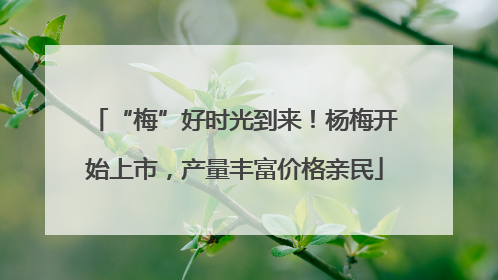 “梅”好时光到来！杨梅开始上市，产量丰富价格亲民