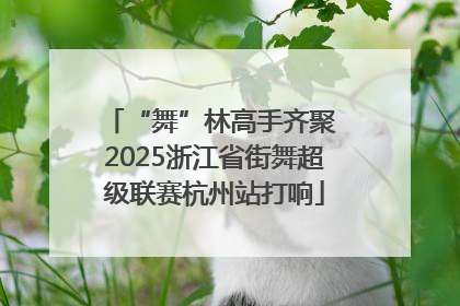 “舞”林高手齐聚 2025浙江省街舞超级联赛杭州站打响