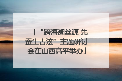 “跨海溯丝源 先蚕生古泫”主题研讨会在山西高平举办