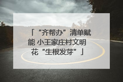 “齐帮办”清单赋能 小王家庄村文明花“生根发芽”