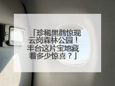 珍稀黑鹳惊现云岗森林公园！丰台这片宝地藏着多少惊喜？