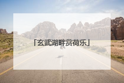 玄武湖畔赏荷乐