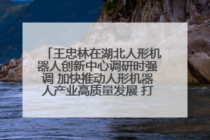 王忠林在湖北人形机器人创新中心调研时强调 加快推动人形机器人产业高质量发展 打造具有全国影响力的研发创新基地