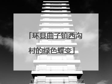 环县曲子镇西沟村的绿色蝶变