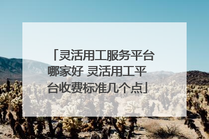 灵活用工服务平台哪家好 灵活用工平台收费标准几个点