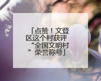 点赞！文登区这个村获评“全国文明村”荣誉称号
