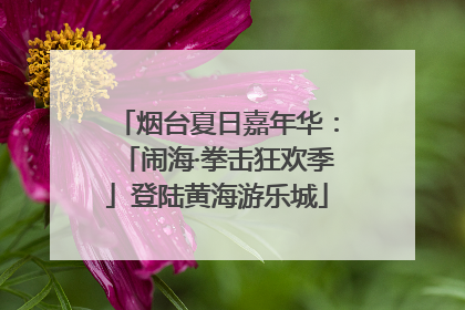 烟台夏日嘉年华：「闹海·拳击狂欢季」登陆黄海游乐城