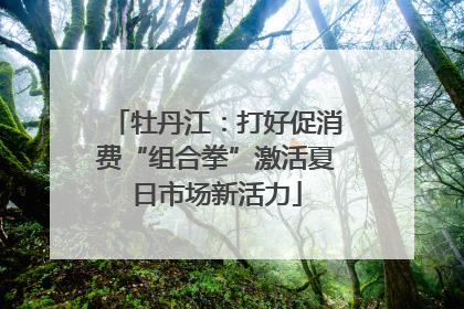 牡丹江：打好促消费“组合拳”激活夏日市场新活力