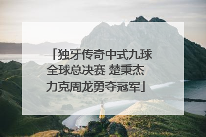 独牙传奇中式九球全球总决赛 楚秉杰力克周龙勇夺冠军