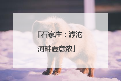石家庄：滹沱河畔夏意浓