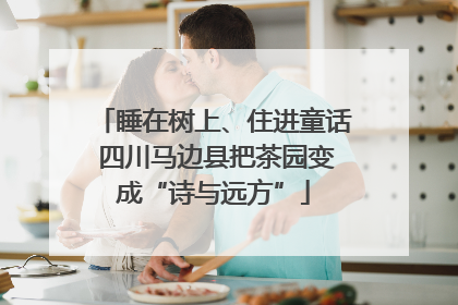 睡在树上、住进童话 四川马边县把茶园变成“诗与远方”