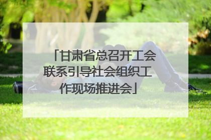 甘肃省总召开工会联系引导社会组织工作现场推进会