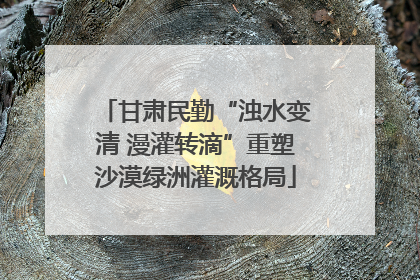 甘肃民勤“浊水变清 漫灌转滴”重塑沙漠绿洲灌溉格局