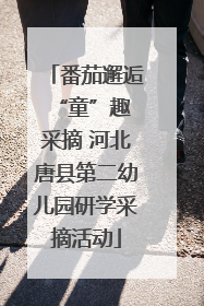 番茄邂逅 “童”趣采摘 河北唐县第二幼儿园研学采摘活动
