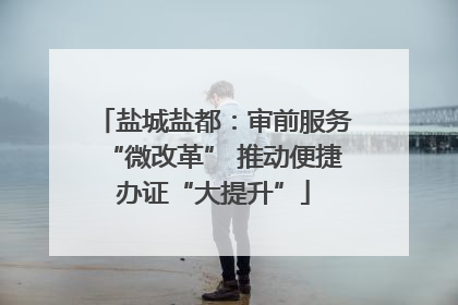 盐城盐都：审前服务“微改革” 推动便捷办证“大提升”