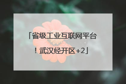 省级工业互联网平台！武汉经开区+2