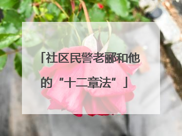 社区民警老郦和他的“十二章法”