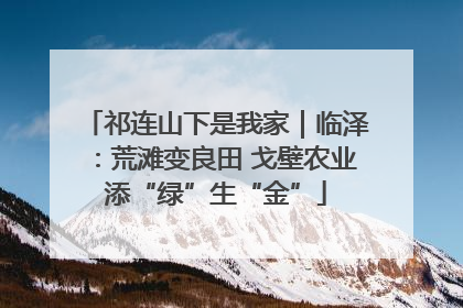 祁连山下是我家｜临泽：荒滩变良田 戈壁农业添“绿”生“金”