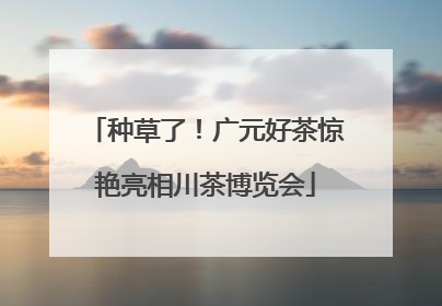 种草了！广元好茶惊艳亮相川茶博览会
